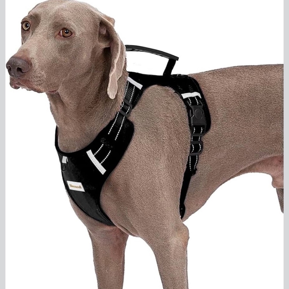 New Dog Harness Adjustable Breathable Dog Harness with No Pull PVC Handle-Large